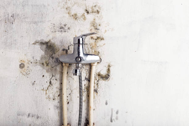  Mans, CO Mold Removal Pros