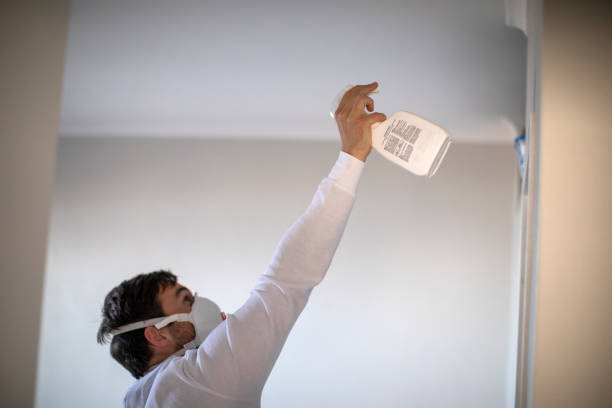 Best Certified Mold Removal  in Mans, CO