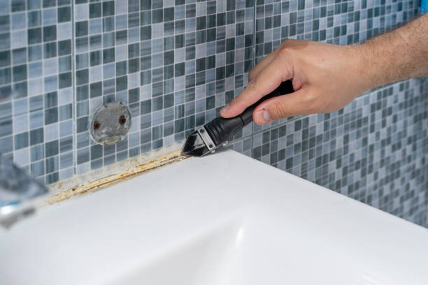 Best Fast Mold Removal  in Mans, CO