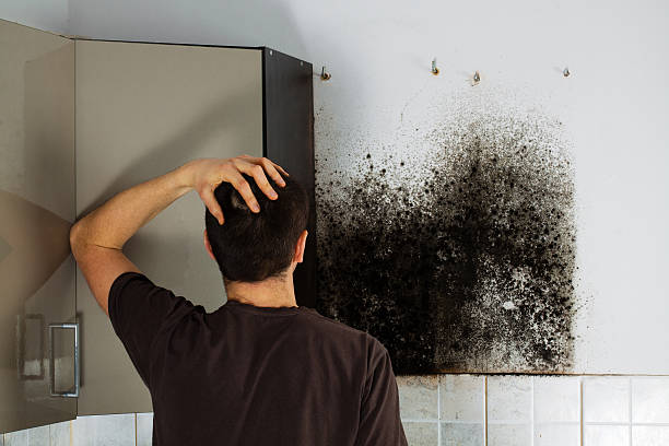 Best Toxic Mold Removal  in Mans, CO
